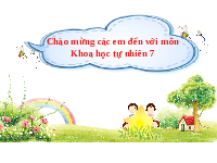 Giáo án điện tử Khoa học tự nhiên 7 bài 36 Chân trời sáng tạo : Thực hành chứng minh sinh trưởng và phát triển ở thực vật, động vật