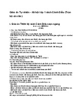 Giáo án Tự nhiên - Xã hội lớp 1 sách Cánh Diều (Trọn bộ cả năm)