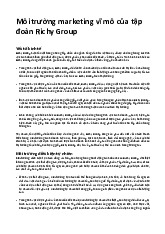 Môi trường marketing vĩ môcủa tập đoàn Richy Group môn Marketing căn bản | Trường đại học Mở Hà Nội