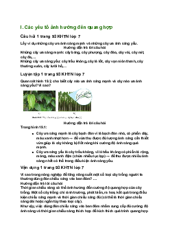 Giải SGK Khoa học tự nhiên 7 Bài 19: Các yếu tố ảnh hưởng đến quang hợp| Cánh diều