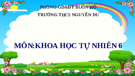 Giáo án điện tử Khoa học tự nhiên 6 bài 19 Chân trời sáng tạo : Cơ thể đơn bào và cơ thể đa bào