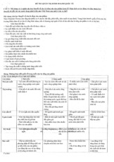 Đề thi quản trị kinh doanh quốc tế - Môn Kinh tế vĩ mô - Đại Học Kinh Tế - Đại học Đà Nẵng
