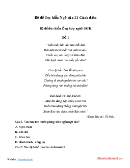 Bộ đề đọc hiểu Ngữ văn 11 Cánh diều