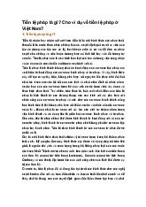 Tiền lệ pháp là gì? Cho ví dụ về tiền lệ pháp ở Việt Nam?