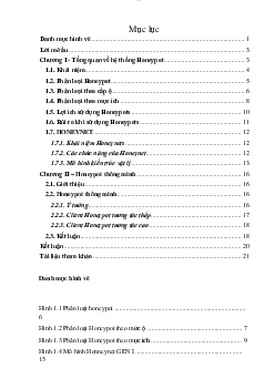 Bài tiểu luận môn An toàn mạng đề tài "Giải pháp an ninh mạng với Honeypot thông minh"