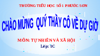 Giáo án điện tử Tự nhiên và xã hội 1 bài 6 Chân trời sáng tạo : Trường học của em