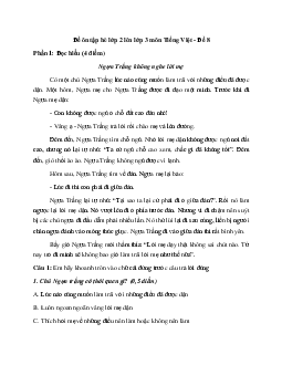 Bài tập ôn hè lớp 2 lên lớp 3 năm 2024 môn Tiếng Việt - Đề 8