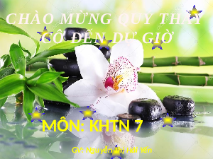 Giáo án điện tử Khoa học tự nhiên 7 bài 9 Chân trời sáng tạo : Đo tốc độ