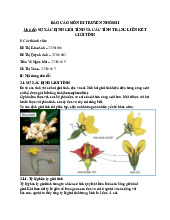 SỰ XÁC ĐỊNH GIỚI TÍNH VÀ TÍNH TRẠNG LIÊN KẾT môn Kỹ thuật di truyền | Trường Đại Học Tây Nguyên