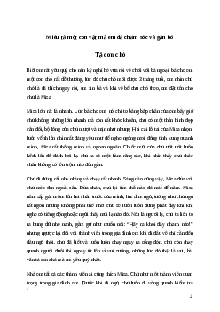 Văn mẫu Miêu tả một con vật mà em đã chăm sóc và gắn bó (5 mẫu) | Kết nối tri thức
