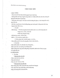 Đại cương về Chảy máu mũi | Đại học y dược Huế