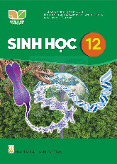 Sách giáo khoa Sinh học 12 - Kết nối tri thức