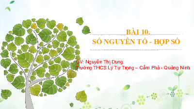 Chuowng1. Bài 10: Số nguyên tố. Hợp số | Bài giảng PowerPoint Toán 6 | Cánh diều