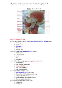 Câu hỏi trắc nghiệm ôn tập môn Giải phẩu theo từng chương có đáp án