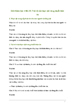 Giải Khoa học lớp 4 Bài 30: Vai trò của thực vật trong chuỗi thức ăn | Kết nối tri thức