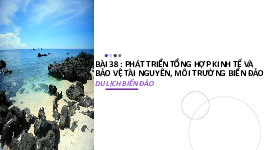 Bài 38: Phát triển tổng hợp kinh tế và bảo vệ tài nguyên, môi trường biển đảo - Địa Lí 9