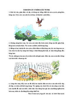 Giải SGK môn Tiếng việt 2 - Bài 24:  Chim sơn ca và bông cúc trắng(5) | Cánh Diều