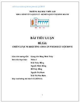 Chiến lược Marketing cho sản phần dầu gội Dove | Tiểu luận môn Marketing căn bản | Đại học Thủy Lợi