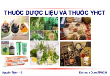 Thuốc Dược Liệu và thuốc y học cổ truyền | Bài Giảng y học cổ truyền