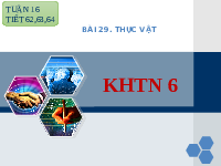 Giáo án điện tử Khoa học tự nhiên 6 bài 29 Chân trời sáng tạo : Thực vật