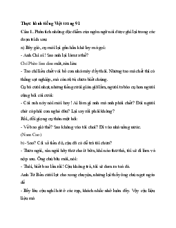 Soạn bài Thực hành tiếng Việt trang 91 | Ngữ văn 11 Cánh diều