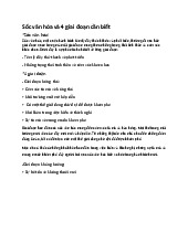 Nghiên cứu Sốc Văn Hóa và 4 Giai Đoạn Cần Biết trong Đời Sống. Môn Cơ sở văn hóa Việt Nam | Đại học Trường Đại học Phenika.