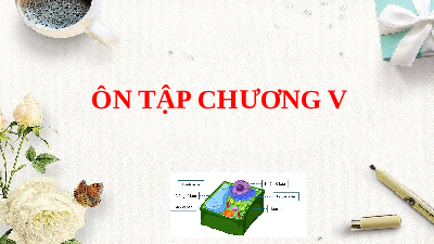 Giáo án điện tử Khoa học tự nhiên 6 Kết nối tri thức : Ôn tập chương V