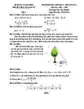 Đề giữa học kì 1 Toán 9 năm 2024 – 2025 trường THCS Ngô Gia Tự – Hà Nội