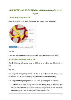 Giải KHTN 8 Bài 36: Điều hòa môi trường trong của cơ thể người | Kết nối tri thức