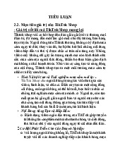 TIỂU LUẬN 2.2-2.4: Giá Trị và Cơ Hội Từ TikTok Shop Trong TMĐT | Đại học Văn Lang