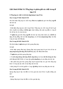 Giải Sinh 10 Bài 11: Tổng hợp và phân giải các chất trong tế bào | Cánh diều