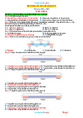 Đề Cương Ôn Tập Giữa Học Kỳ 1 Sinh 12 Chân Trời Sáng Tạo 2025-2026