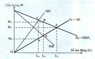 Mức lương và số lao động được thuê trong thị trường độc quyền bán về lao động : (ảnh 1)