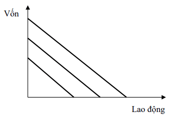 Đồ thị biểu diễn các đường đẳng lượng sau đây phản ánh: (ảnh 1)
