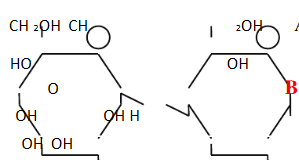 Công thức bên là cấu tạo của: (ảnh 1)