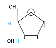 Công thức bên là cấu tạo của: (ảnh 1)