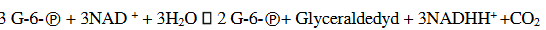 Phản ứng tổng quát của chu trình Pentose Phosphat (ảnh 1)