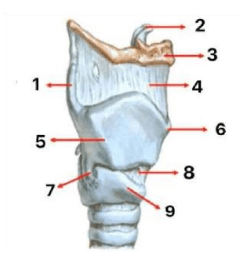 Chi tiết số 1 là: (ảnh 1)