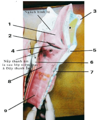 Chi tiết số 1 là (ảnh 1)