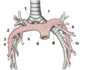 Chi tiết số 5 là: (ảnh 1)