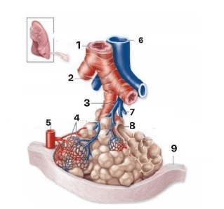 Chi tiết số 8 là: (ảnh 1)