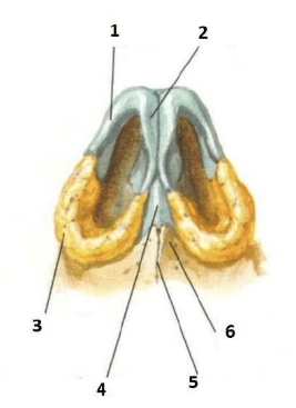 Chi tiết số 5 là (ảnh 1)