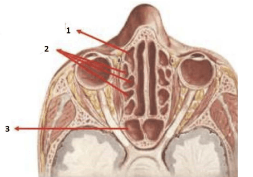 Chi tiết số 3 là: (ảnh 1)