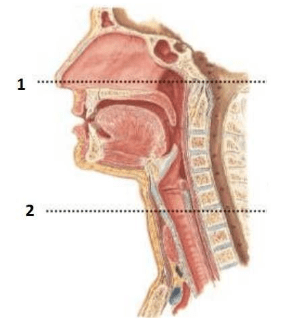 Chi tiết số 1 là: (ảnh 1)