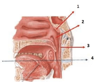 Chi tiết số 1 là: (ảnh 1)