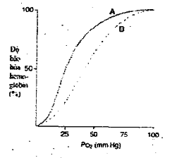 Đường cong phân ly oxyhemoglobin chuyển từ vị trí A sang B trong tình trạng nào sau đây? (ảnh 1)