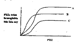 Điều nào sau đây đúng khi nói về ái lực của hemoglobin với oxy trên 3 người này: (ảnh 1)