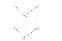 Cho hình lăng trụ đứng ABC.A'B'C' có đáy ABC là tam giác vuông cân tại B và AB = AA' = 4 (tham khảo hình bên). Khoảng cách từ C đến mặt phẳng (ABC') bằng (ảnh 1)